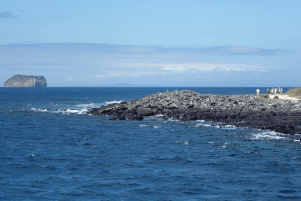 Isla Seymour Norte